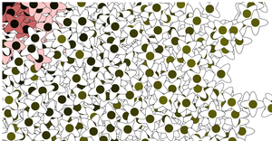Ellipse