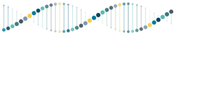 3D DNA HELIX Interactive