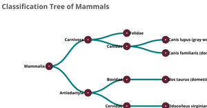 mammals