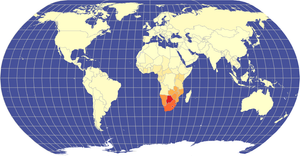 Choroleth Map for HIV/AIDS