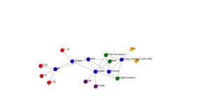 ICE_8 network graph
