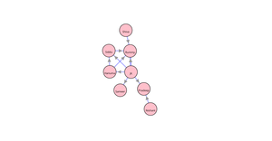 Social Network Graph