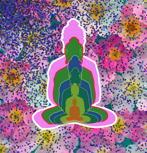 Buddha reflection project