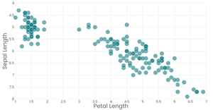 Scatter Plot viz