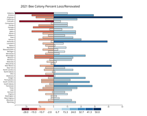 A6 Diverging Bar Chart