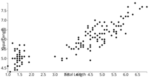 Iris Scatter with labels