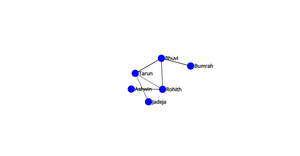 Fork of Network Graph