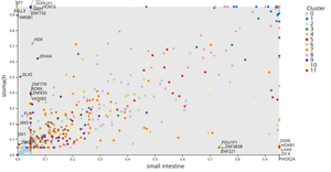 Scatter Plot of ASIF between Tissues