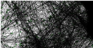 Network