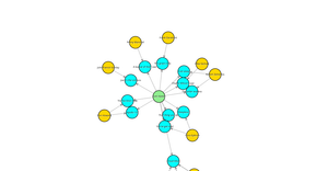 Fork of Force Network