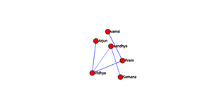 ICE 8 example for social Network graphic