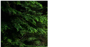 ICE- 5: Shapes of Data