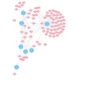 Fork of Organization Graph Diagram