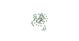 Force-Directed Graph new format