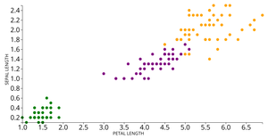 Fork of Fork of Iris Dataset Scatter Plot