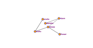 ICE-8: Social Network graph with D3.js