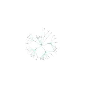 Arastu-360