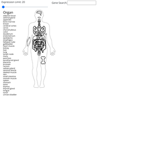 Network Graph with D3 Packs on Zoom
