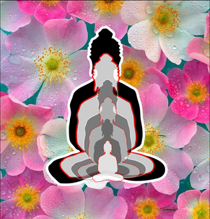 6 buddhas