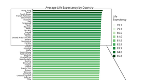 Final Project: Life Expectancy Bar Chart