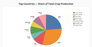 ICE7_PieChart_Manisha