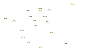 Bees