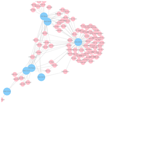 Fork of Organization Graph Diagram