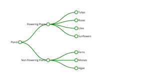 Visualizing Tree for Plant Species