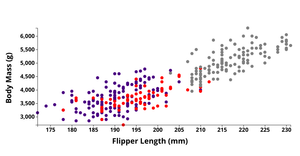 ICE-6 Penguins Dataset Scatter Plot