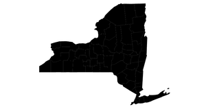 NYS V2