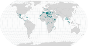 [SR] Missing Migrants on World Map