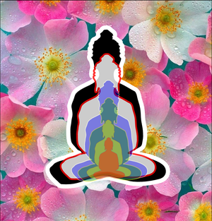 Buddha-6  images Gopala Krishna
