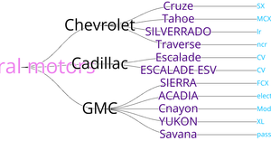 Family Tree