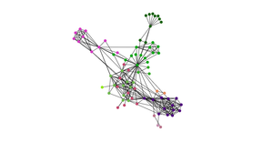 Fork of Force-Directed Graph