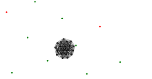 Network Graph
