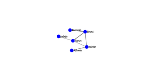 Fork of Network Graph