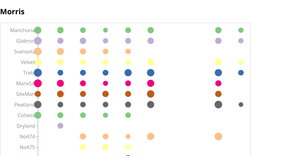 Barley PunchCard Chart v5 - static