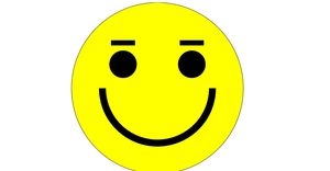 D3 test