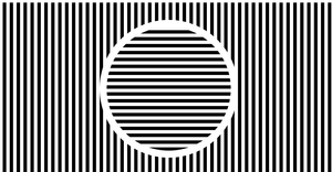 Sol Lewitt Alternative - Scale Animation