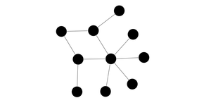 Force Directed Network