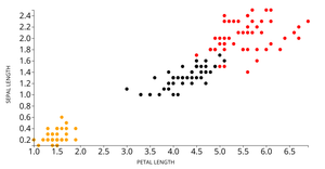 Fork of Iris Dataset Scatter Plot- Sushma Reddy