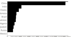 Cars Scatter Plot