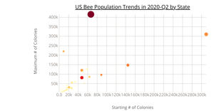 US Honey Bees