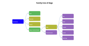 ICE8 - Family Tree