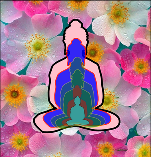 6 Buddas
