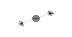 Network Graph