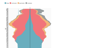 Age pyramid