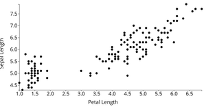Scatter Plot