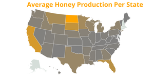 Average Honey Production in the United States (CS 573 Assignment #12.1)