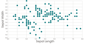 Scatter Plot